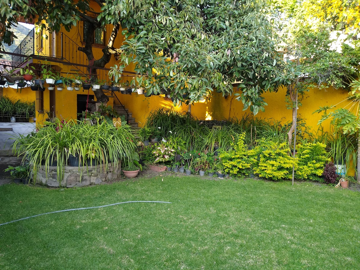 Chata and Chuchito Guest Room - Ajijic Centro