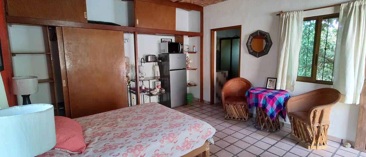 Chata and Chuchito Guest Room - Ajijic Centro