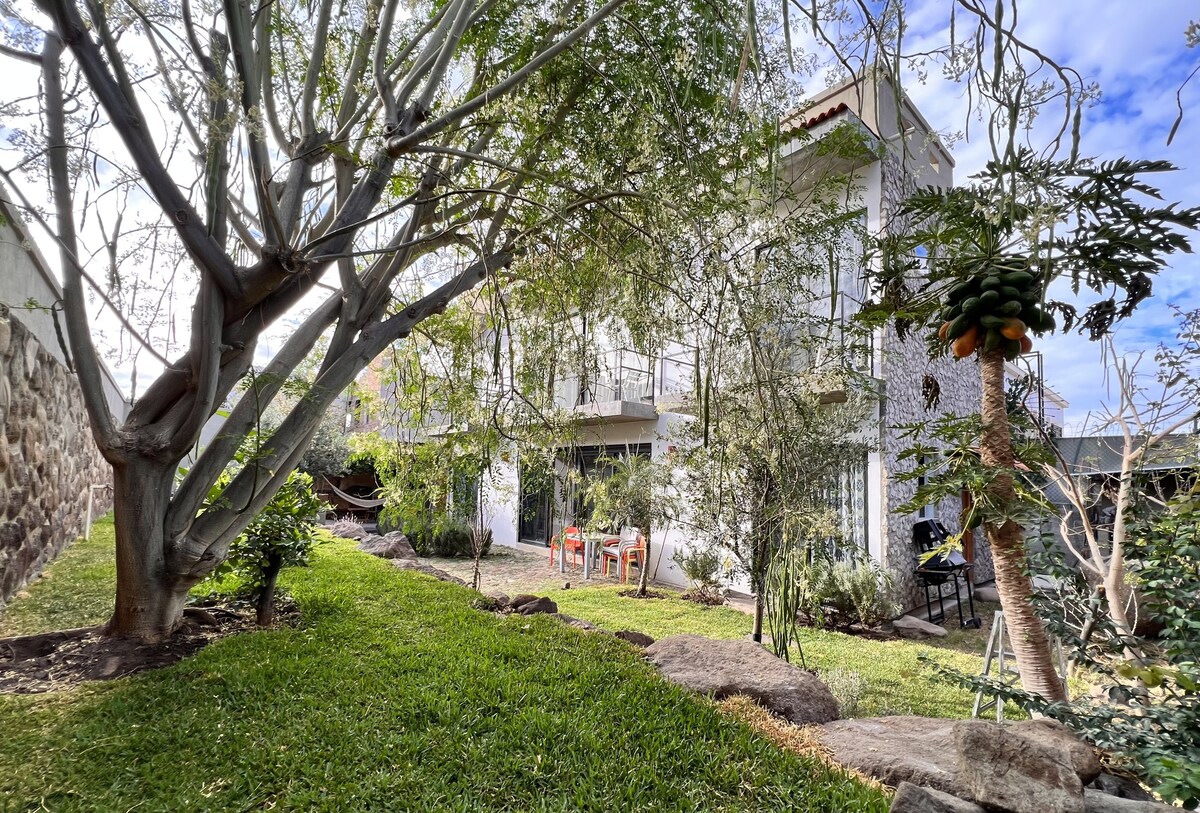 Tacuba Garden