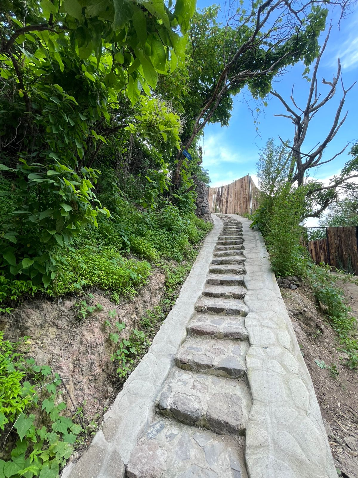 Villa Yellowstone. Ajijic Outdoor Shower & Grill
